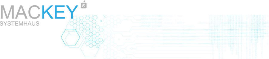 Technische Visualisierung für vernetzte IT-Systeme